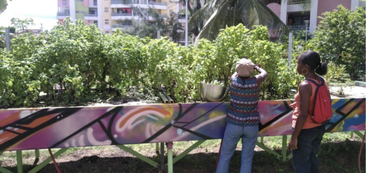 Biodiversité en ville, grâce à l’aquaponie